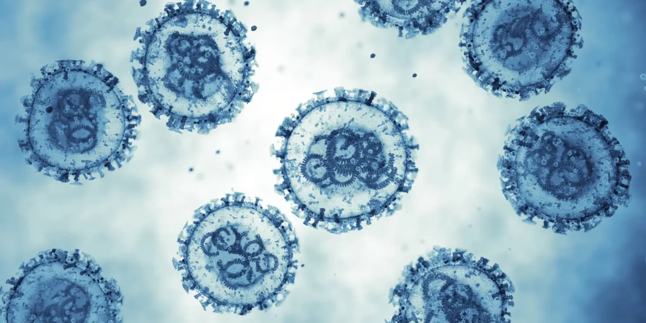 OMS, report Hantavirus: 11 casi (8 confermati) e 3 morti sulla Mv Hondius
